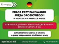 Pracownik produkcji (k/m) do 12,50 € brutto/h!