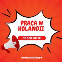 Produkcja sera- Holandia- BEZ prawa jazdy!!!