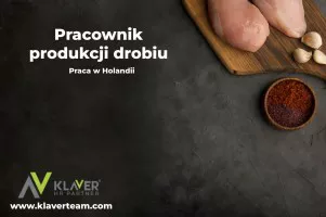 Praca za granicą- Pracownik produkcji drobiu- praca od zaraz!