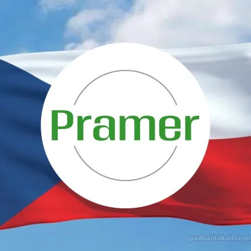 Pramer_kwadrat_8_czechy.webp