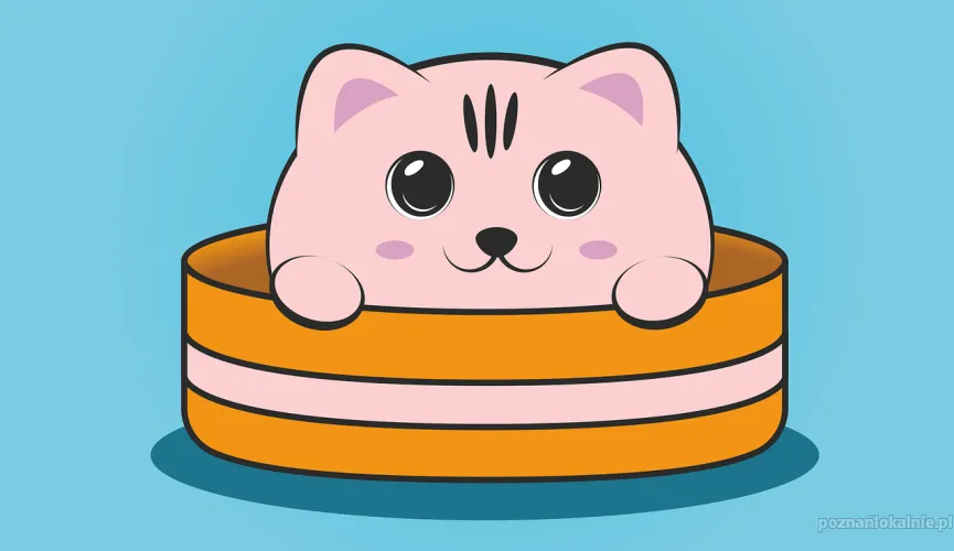 Ofiaruj kotom w azylu potrzebne rzeczy!