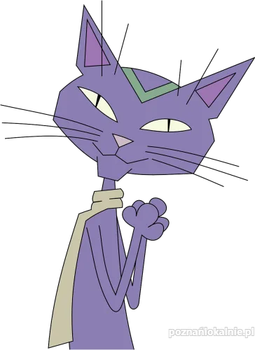 Koty w azylu czekają na Twoją pomoc!