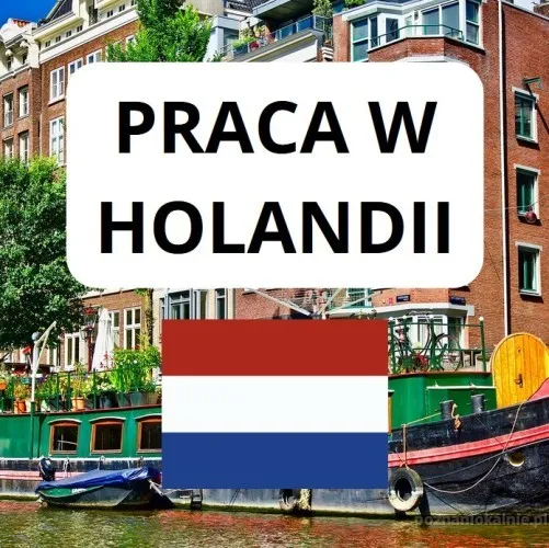 Zarabiaj w EURO - pracuj w Holandii