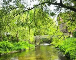 Agroturystyka - Spływy kajakowe - Pole namiotowe - Pokoje