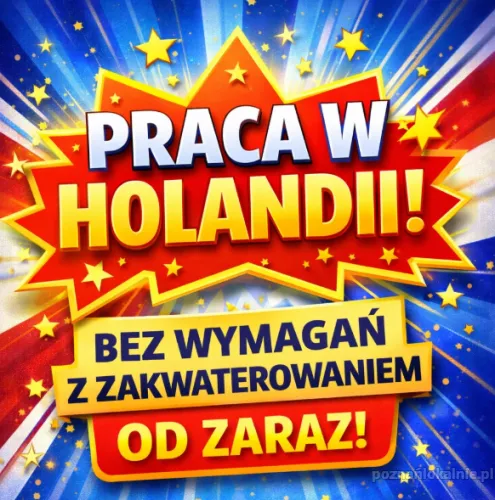 PRACA W NL - SZYBKI WYJAZD